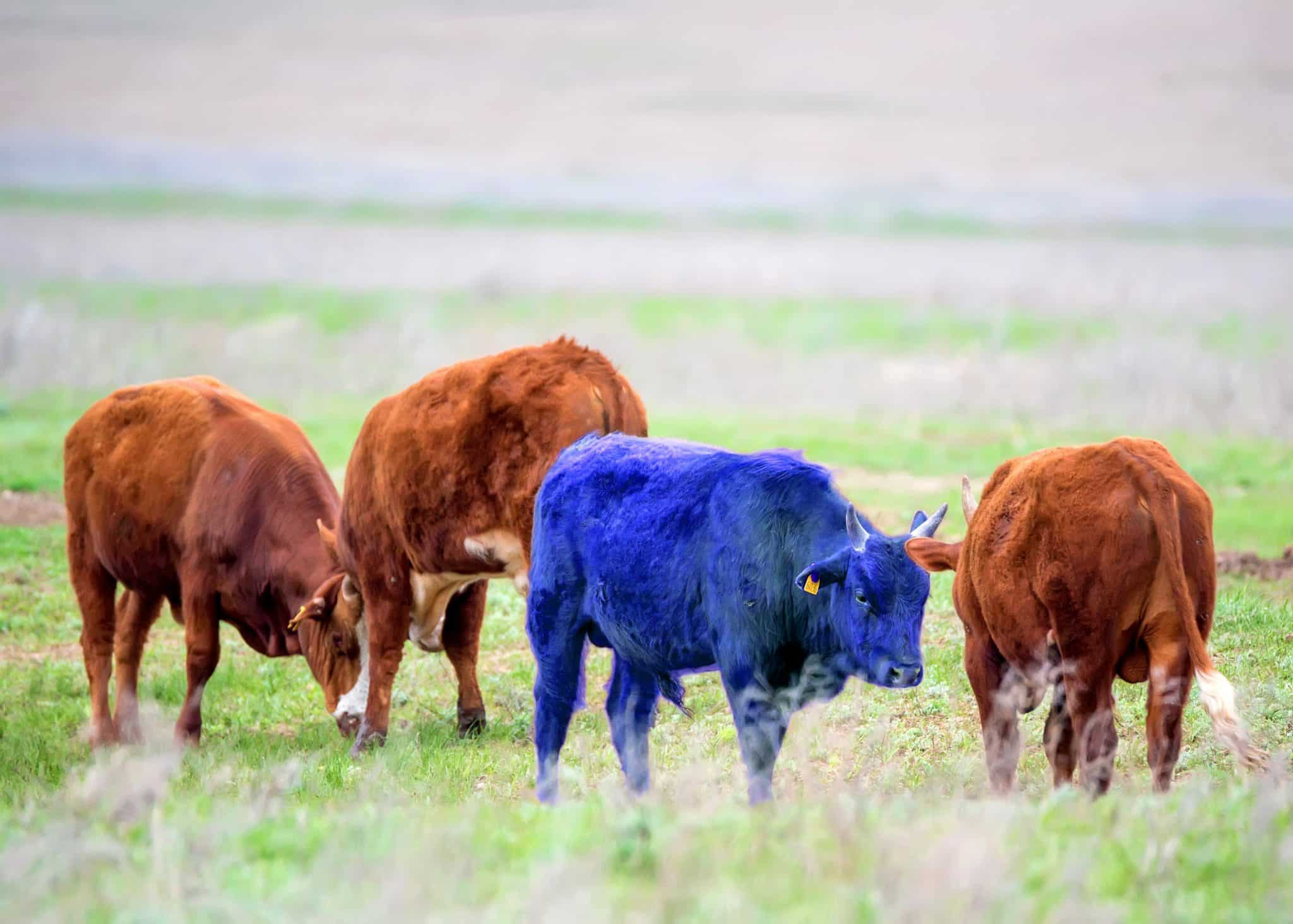 What’s the Secret to Viral Content? TvStartup Inc.