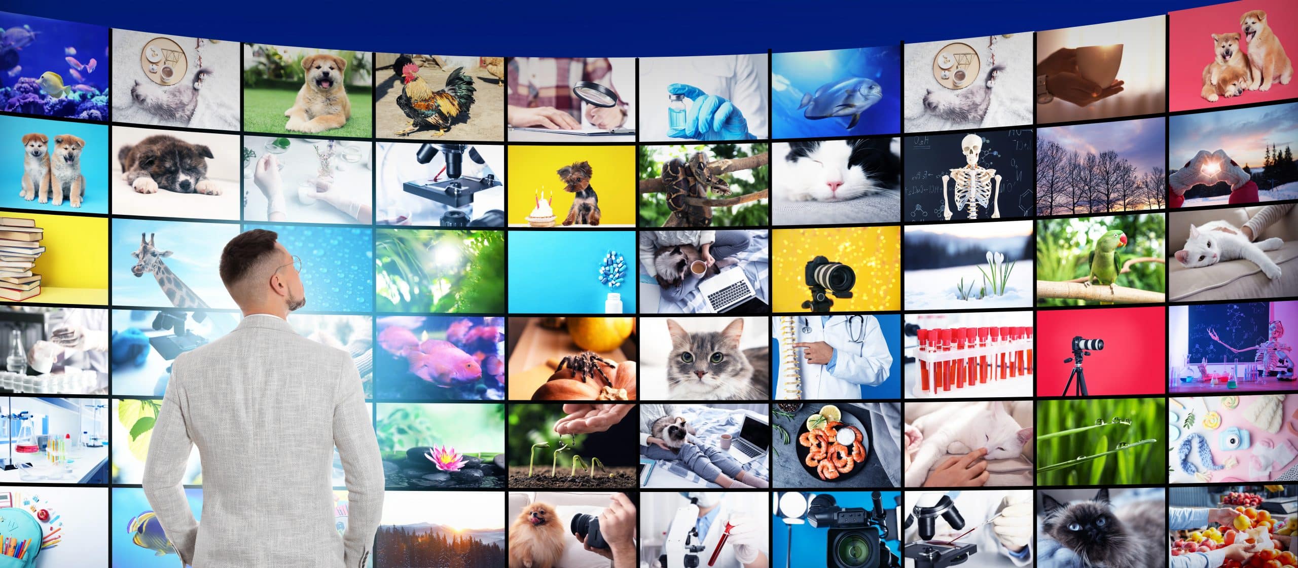 Read more about the article Roku App Development – Easy Built-In Video Monetization